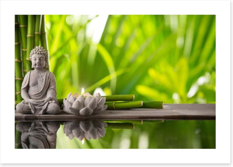 Lotus buddha
