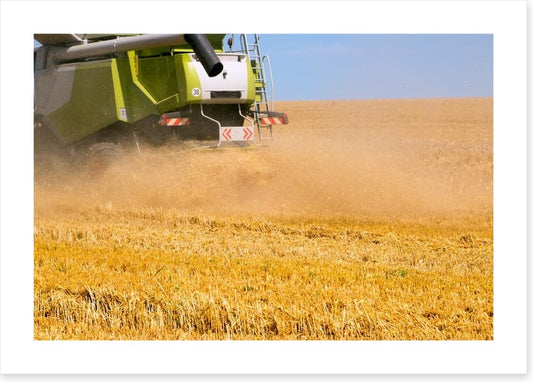 Agriculture