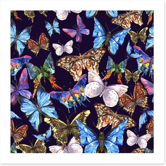 Butterflies