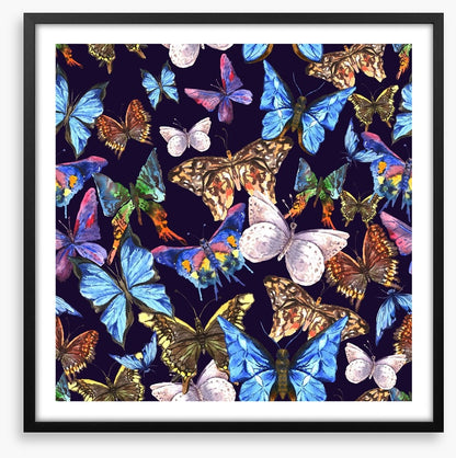 Butterflies