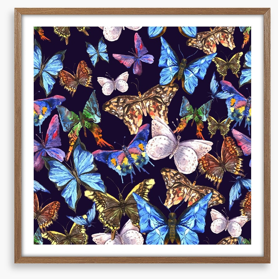 Butterflies