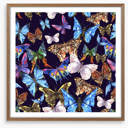 Butterflies