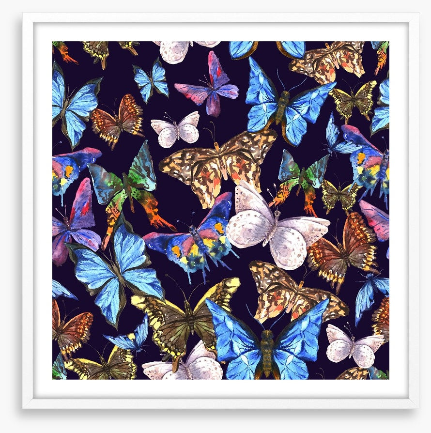 Butterflies