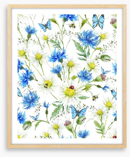 In the cornflowers