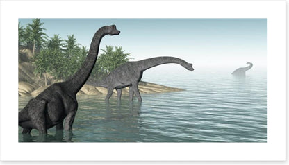 Brachiosaurus paddle