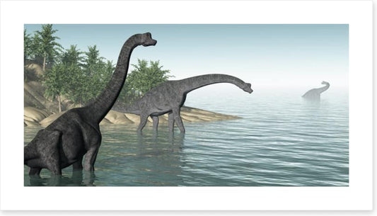 Brachiosaurus paddle