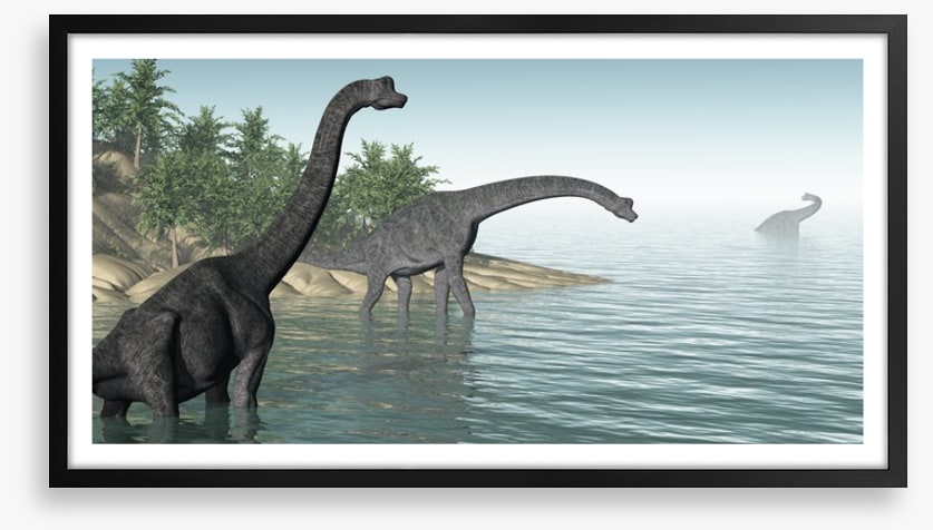 Brachiosaurus paddle