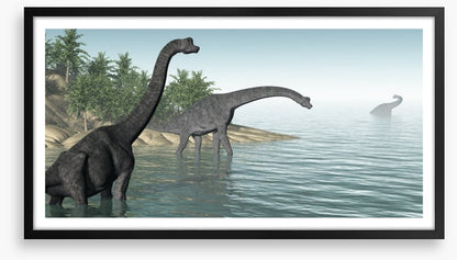 Brachiosaurus paddle