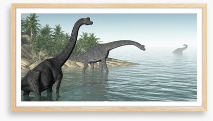 Brachiosaurus paddle