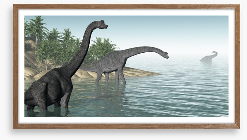 Brachiosaurus paddle