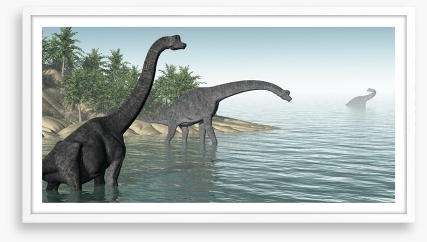 Brachiosaurus paddle