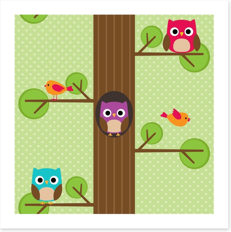 Owls
