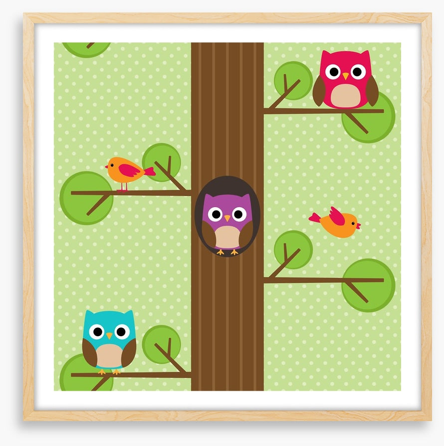 Owls