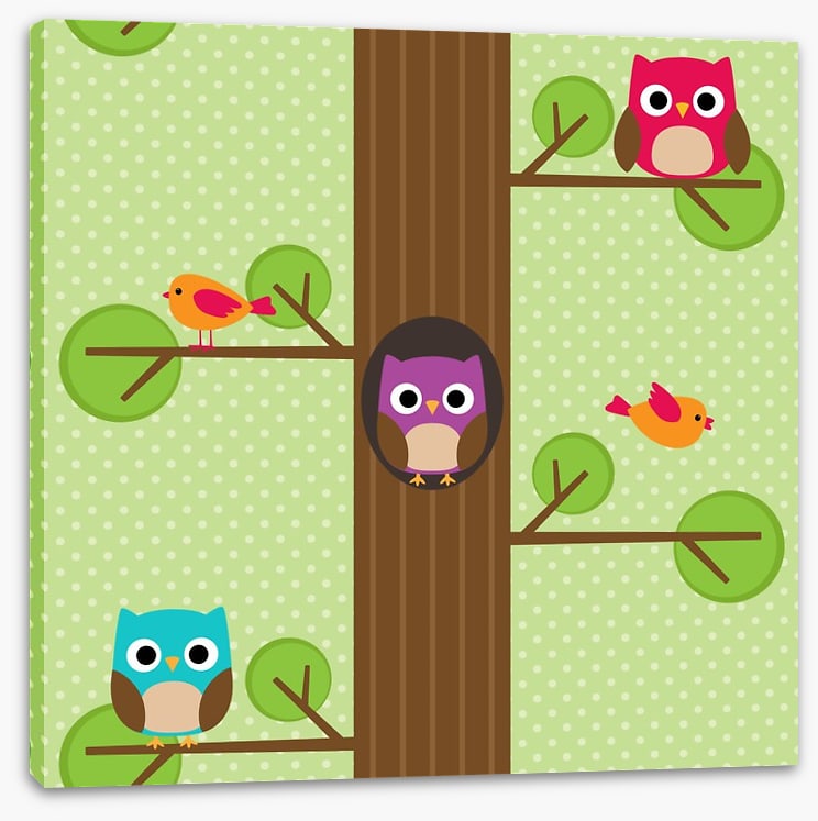Owls