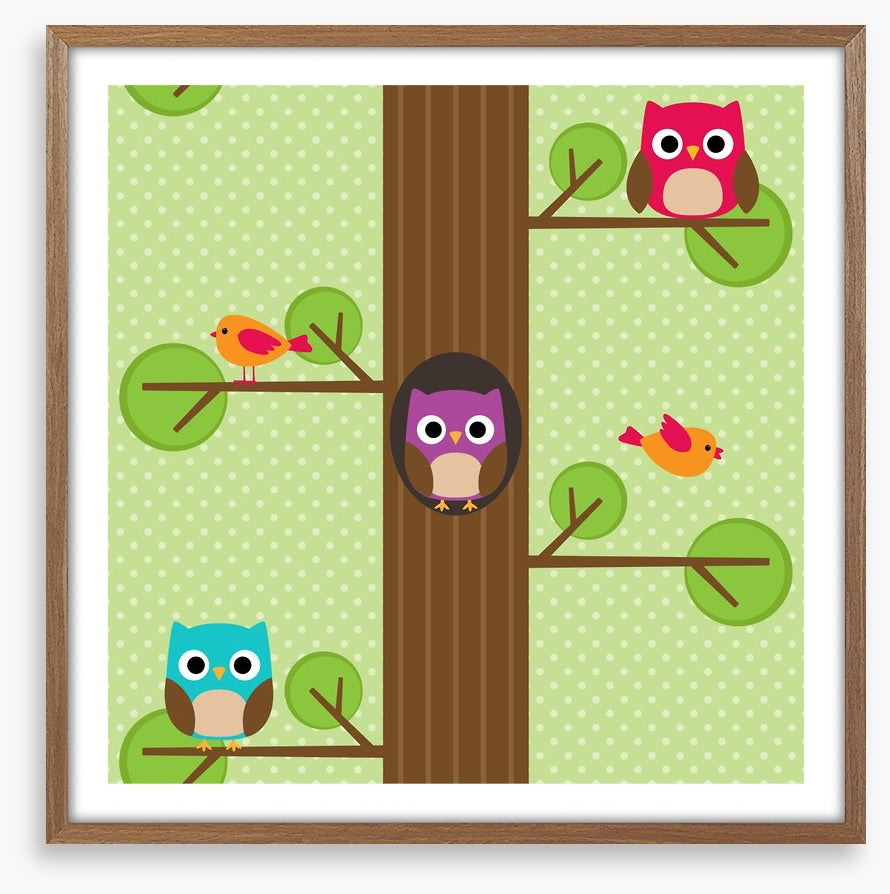 Owls