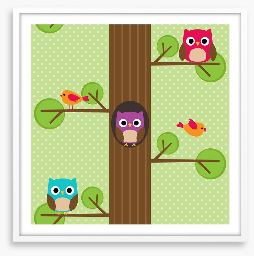 Owls