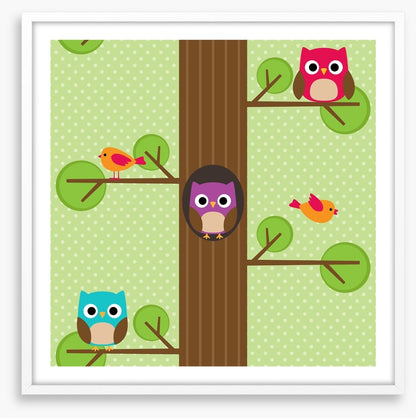Owls