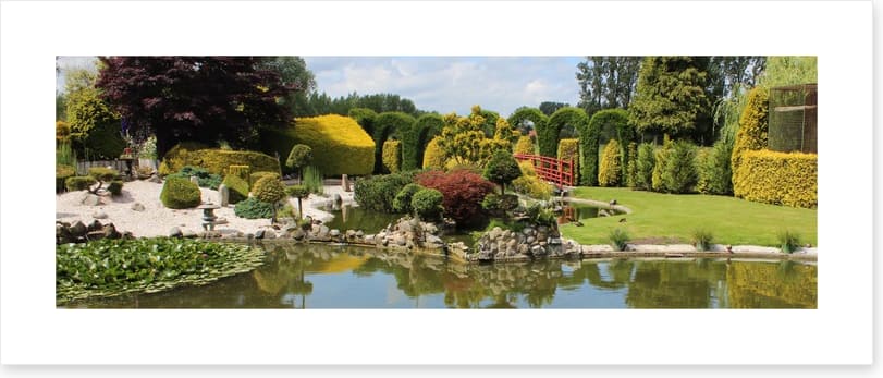 Green zen garden