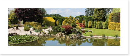 Green zen garden