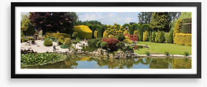 Green zen garden