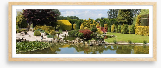 Green zen garden