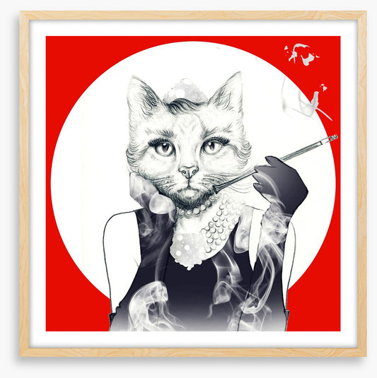 Feline of the night