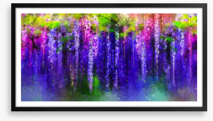 Moonlight wisteria