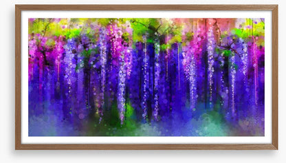 Moonlight wisteria