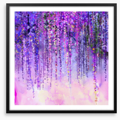 Wisteria drops