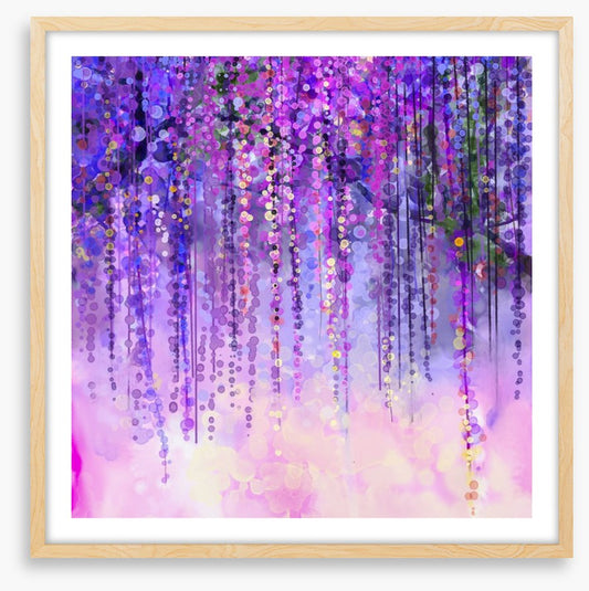 Wisteria drops