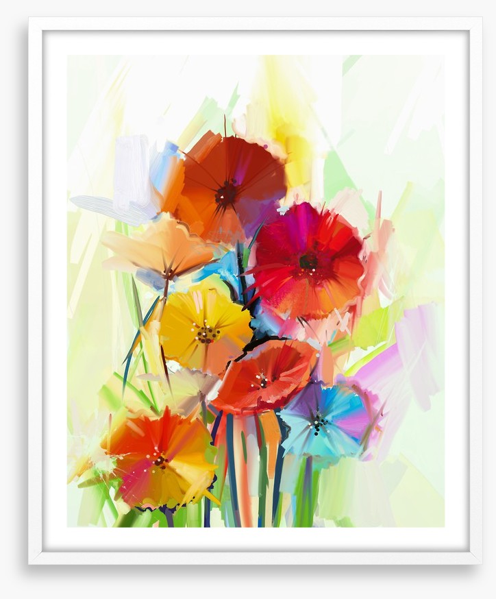 Gerbera brights