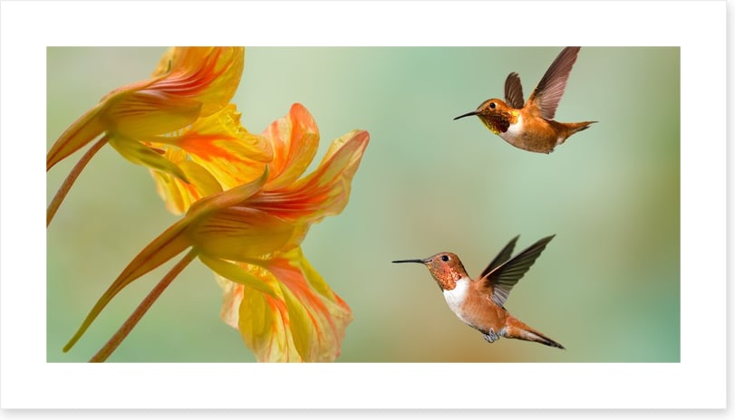 A flower each