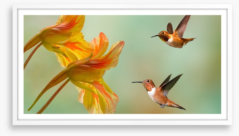 A flower each
