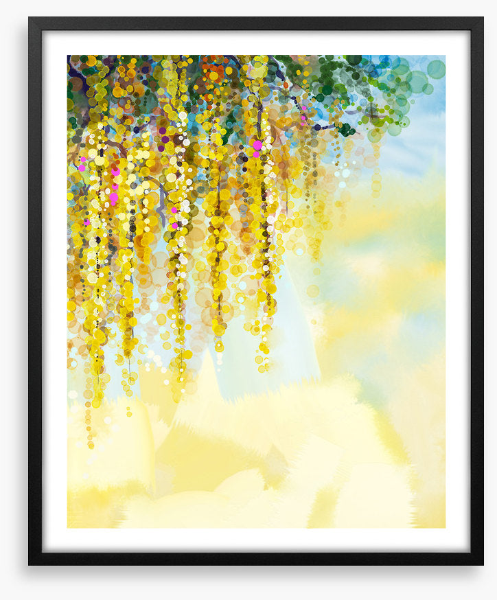 Wisteria sunlight
