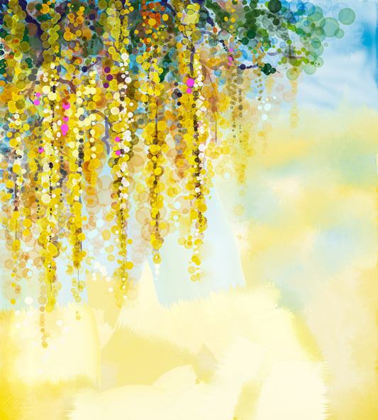 Wisteria sunlight