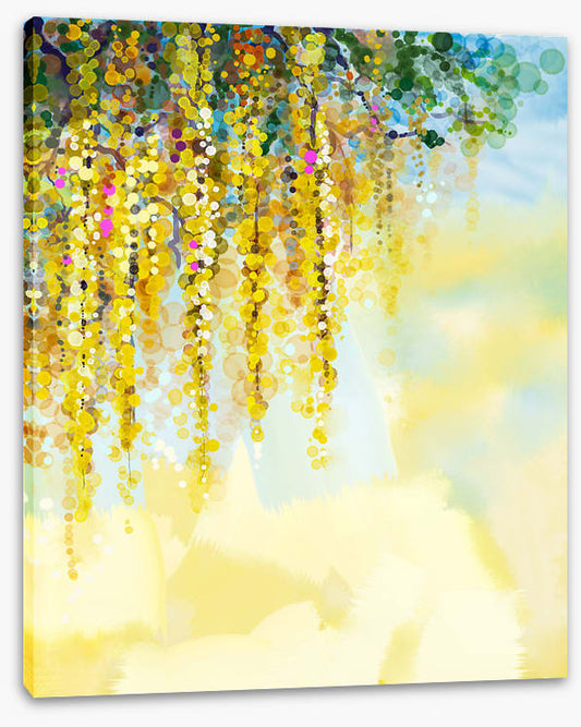 Wisteria sunlight