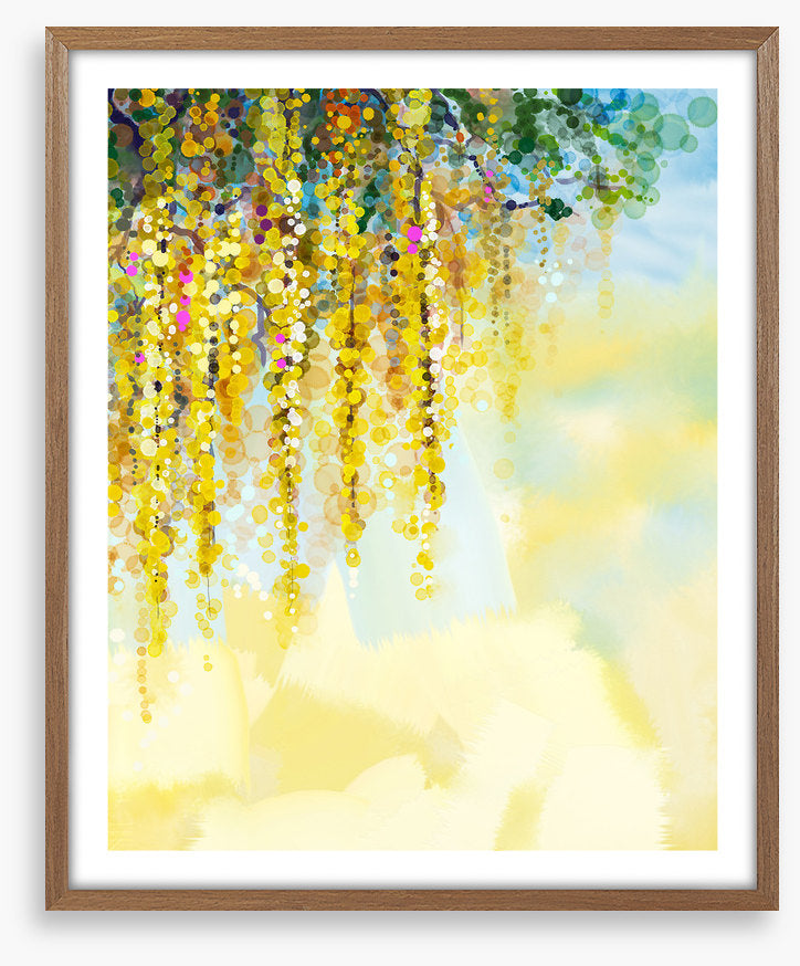 Wisteria sunlight
