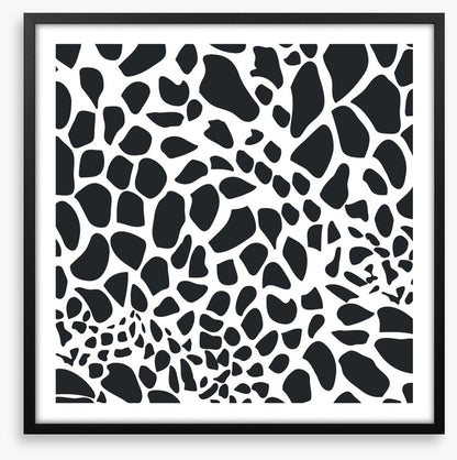 Animal Print