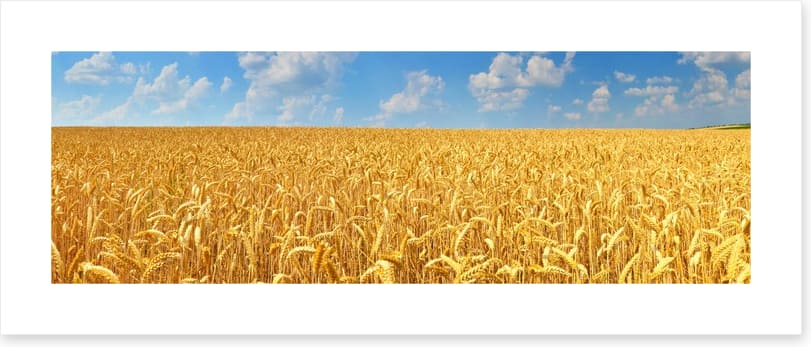 Agriculture