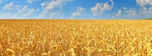 Agriculture