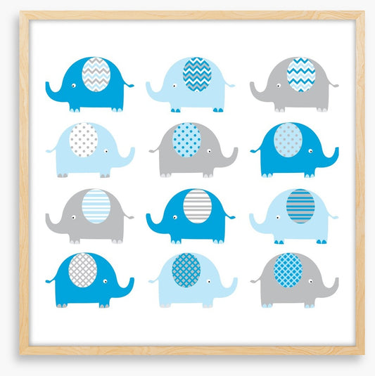 Baby blue elephants