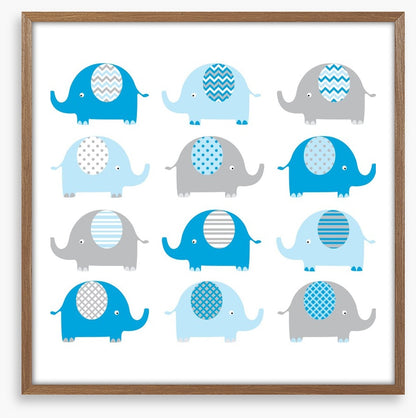 Baby blue elephants