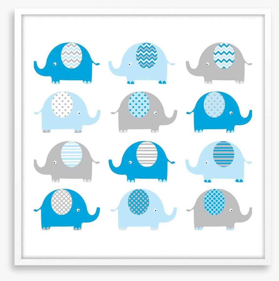 Baby blue elephants