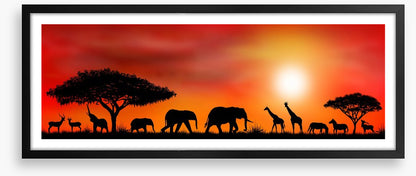 Savannah silhouettes