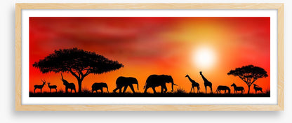 Savannah silhouettes