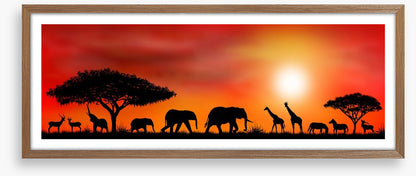 Savannah silhouettes