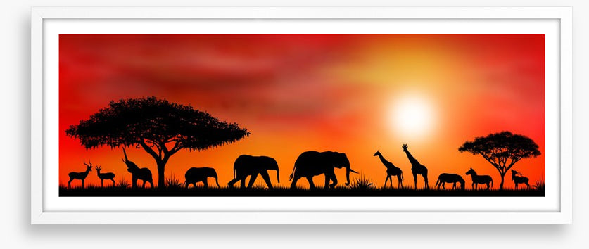 Savannah silhouettes