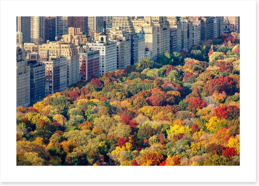 Fall into the city