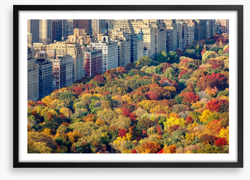 Fall into the city