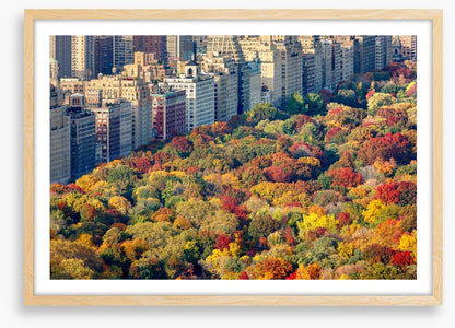 Fall into the city